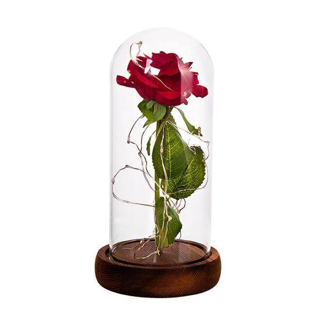 1Pcs Beast Röd Ros Blomsterkruka | Veska Mörkbrun bas