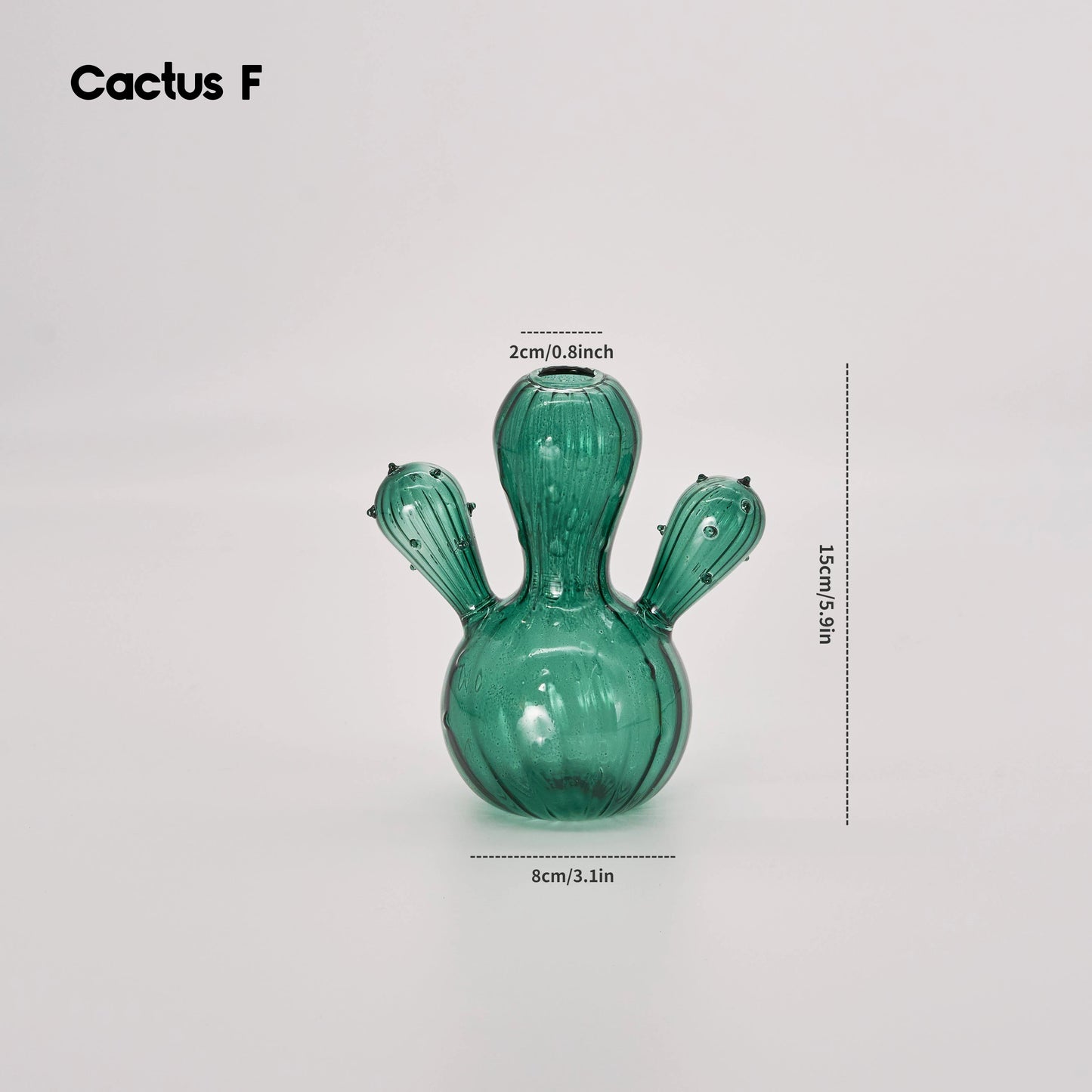 Cactus Glas Vasin | Veska Kaktus F