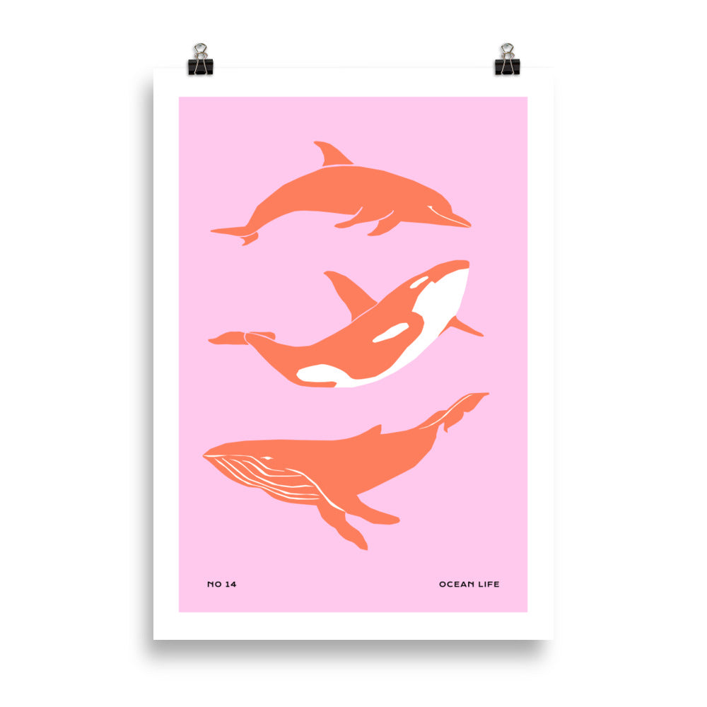 Dolphines | Veska 70×100 cm