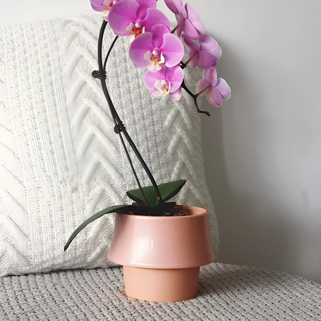 Keramisk Veskaomkruka med elegant estetik Perfekt för alla hem | Veska Rosa