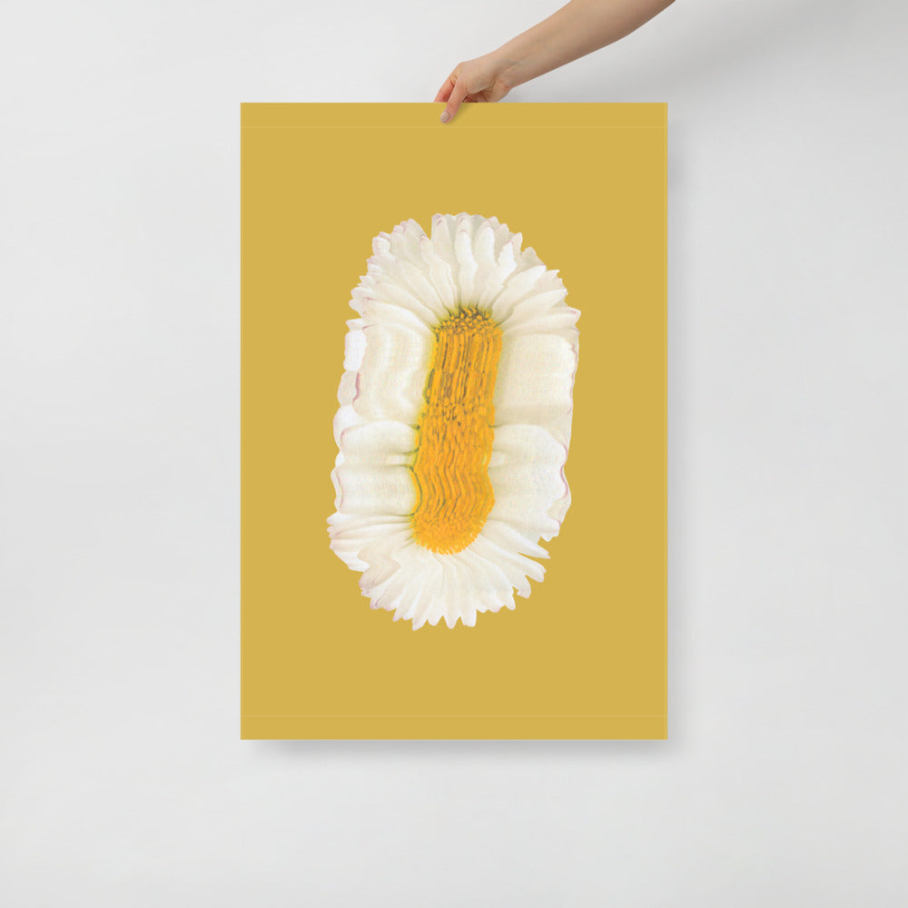 Lazy Daisy | Veska 24×36
