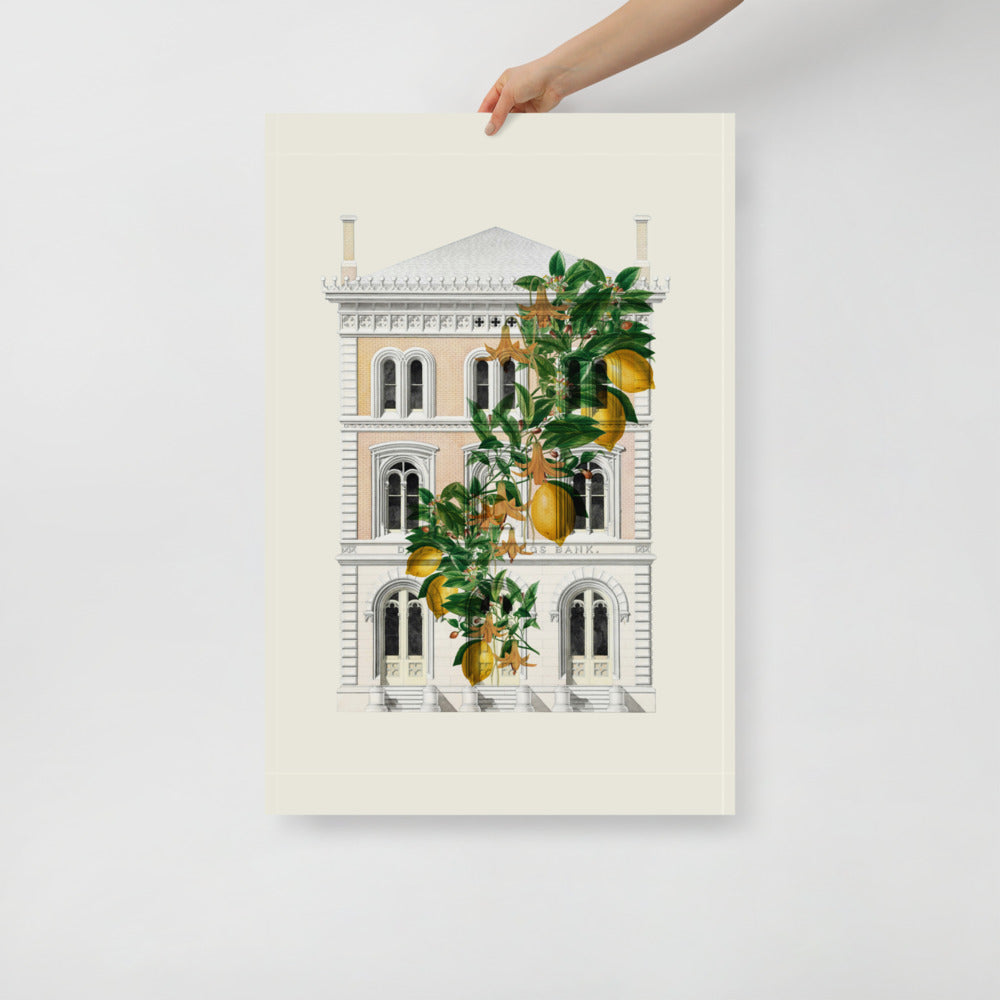 Lemony Hous of Bank | Veska 24×36