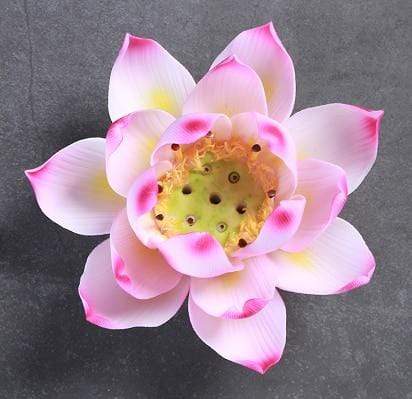 Lotus Leaf Rökelsehållare | Veska 10.5x5.5cm