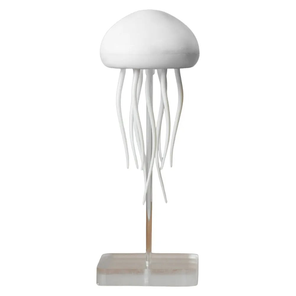 Manetlampa | Veska Med Ställning