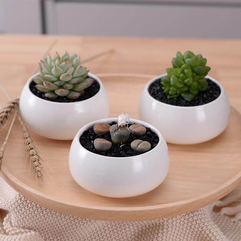 Modern minimalist vit keramik blomkruka | Veska