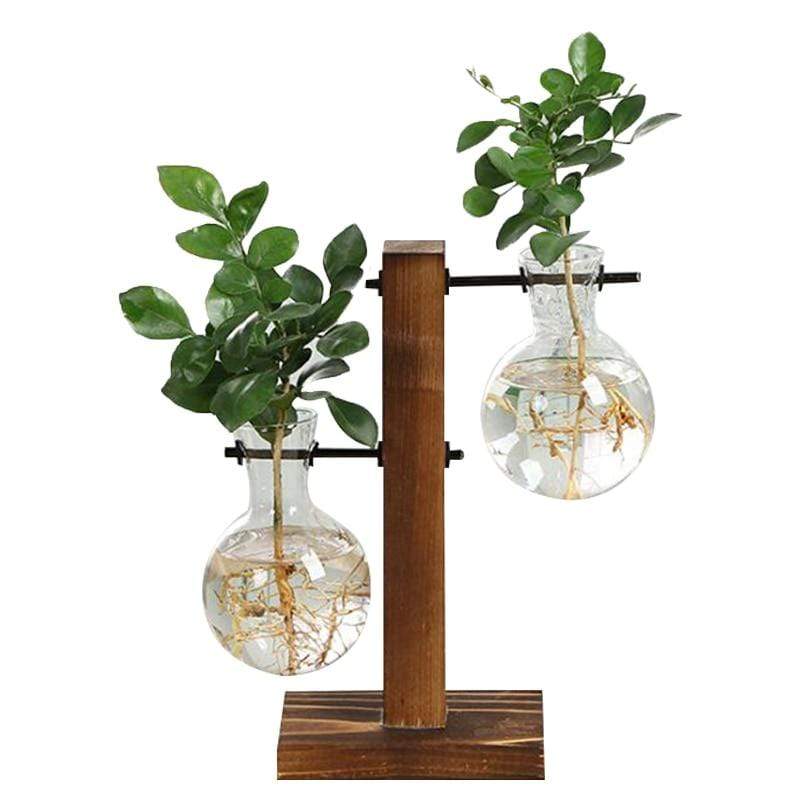 Terrarium Glaskruka | Veska C