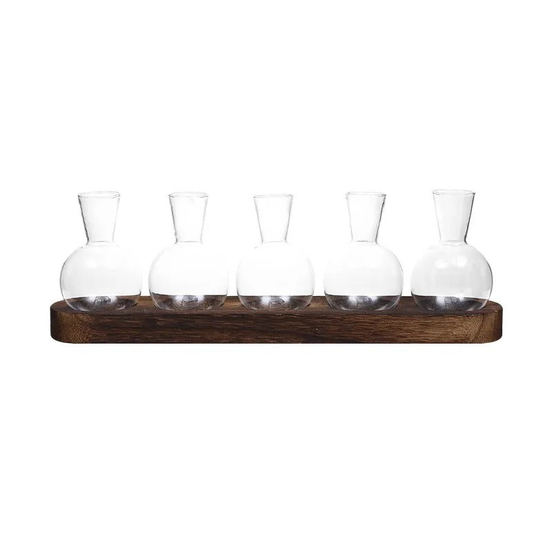 Vas - Elegant Hydroponisk Glasvas | Veska B