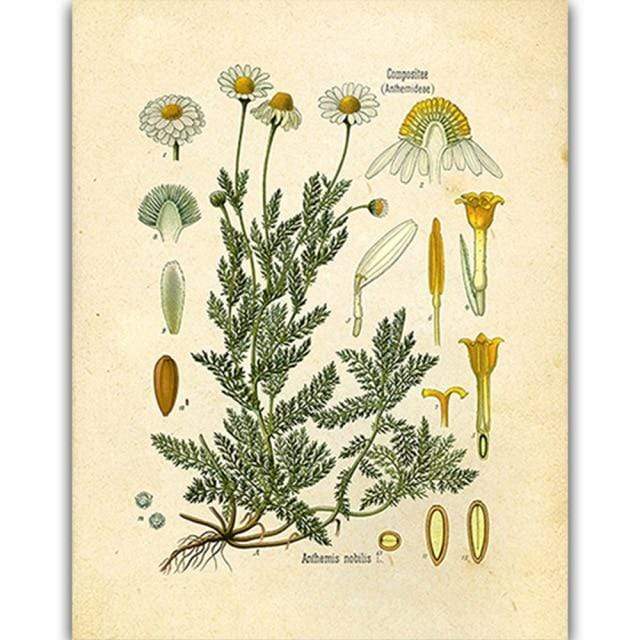 Vild Blommor Väggkonst | Veska 7