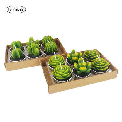 12Pcs Kaktus Aromaljus | Veska