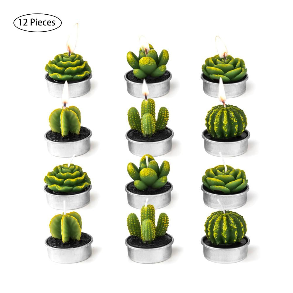 12Pcs Kaktus Aromaljus | Veska