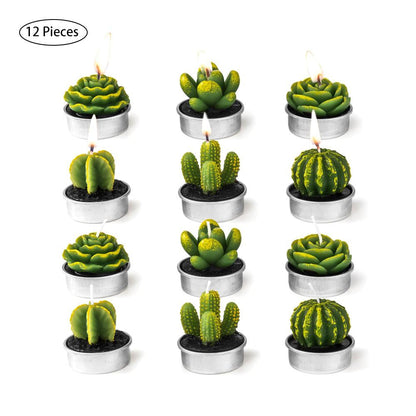 12Pcs Kaktus Aromaljus | Veska