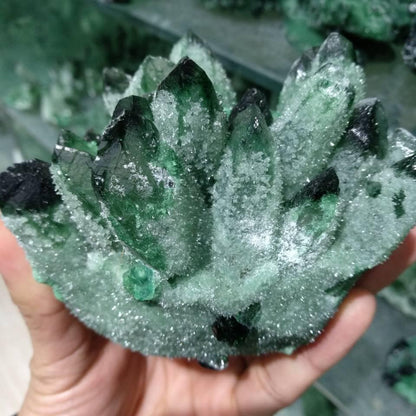 680g Grön Phantom Kvarts Crystal | Veska