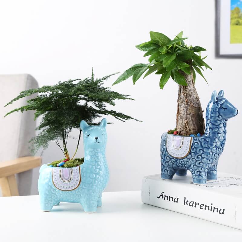 Alpaca Sukkulentkrukor | Veska