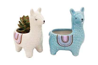 Alpaca Sukkulentkrukor | Veska