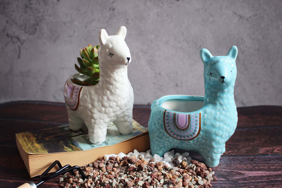 Alpaca Sukkulentkrukor | Veska