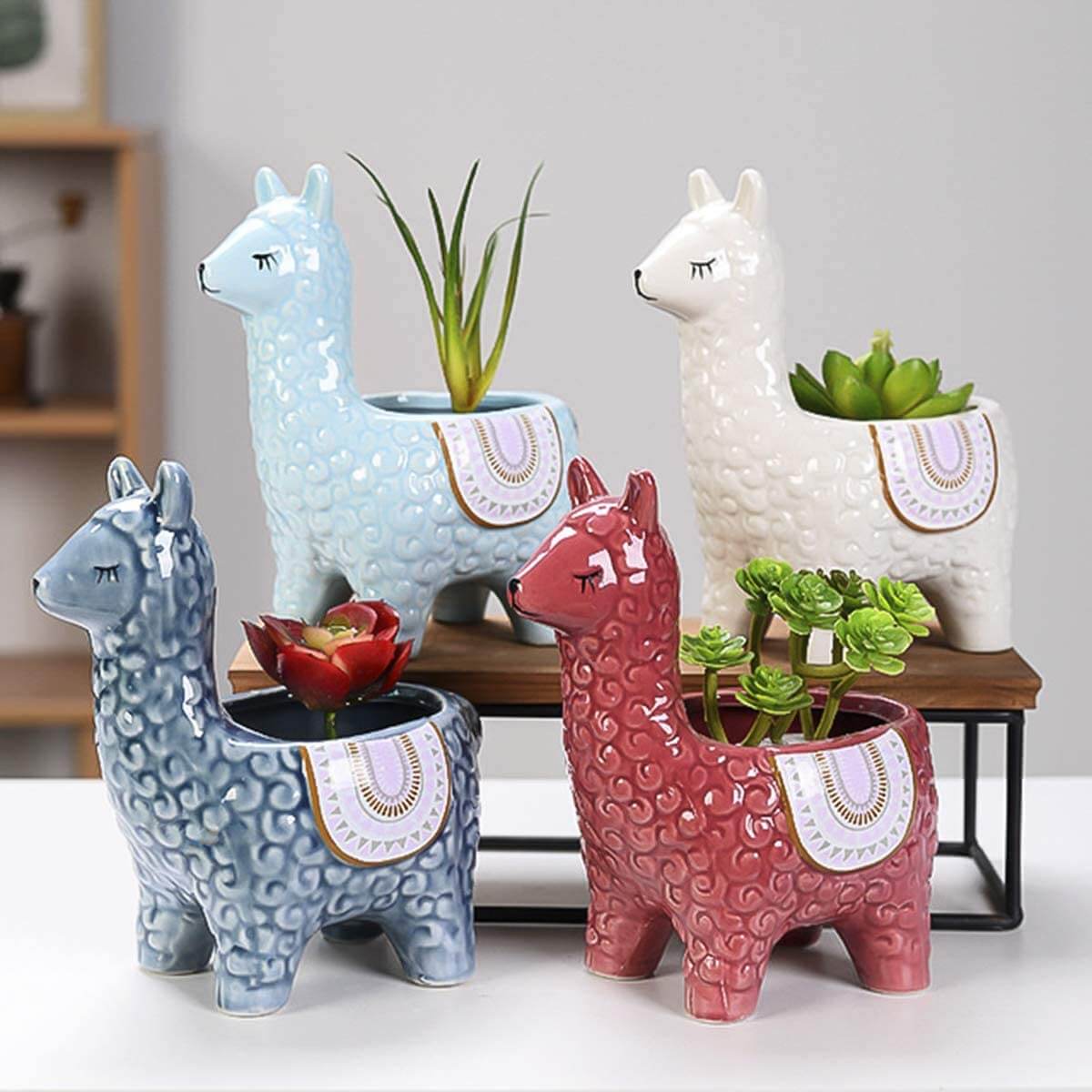 Alpaca Sukkulentkrukor | Veska Rot
