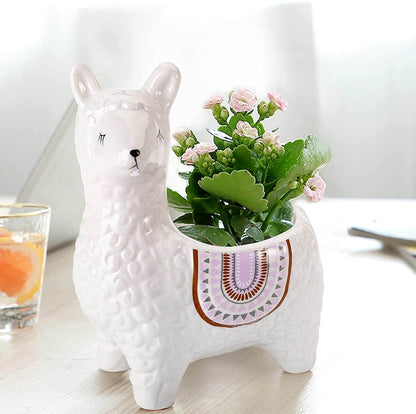 Alpaca Sukkulentkrukor | Veska Vit