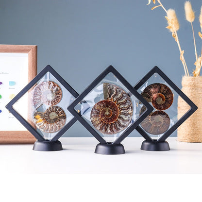 Ammonitfossil Kristall Ornament | Veska