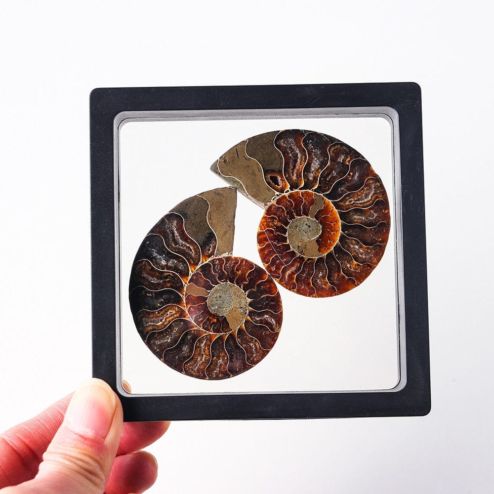 Ammonitfossil Kristall Ornament | Veska