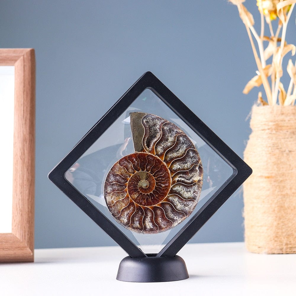 Ammonitfossil Kristall Ornament | Veska 1 stycke