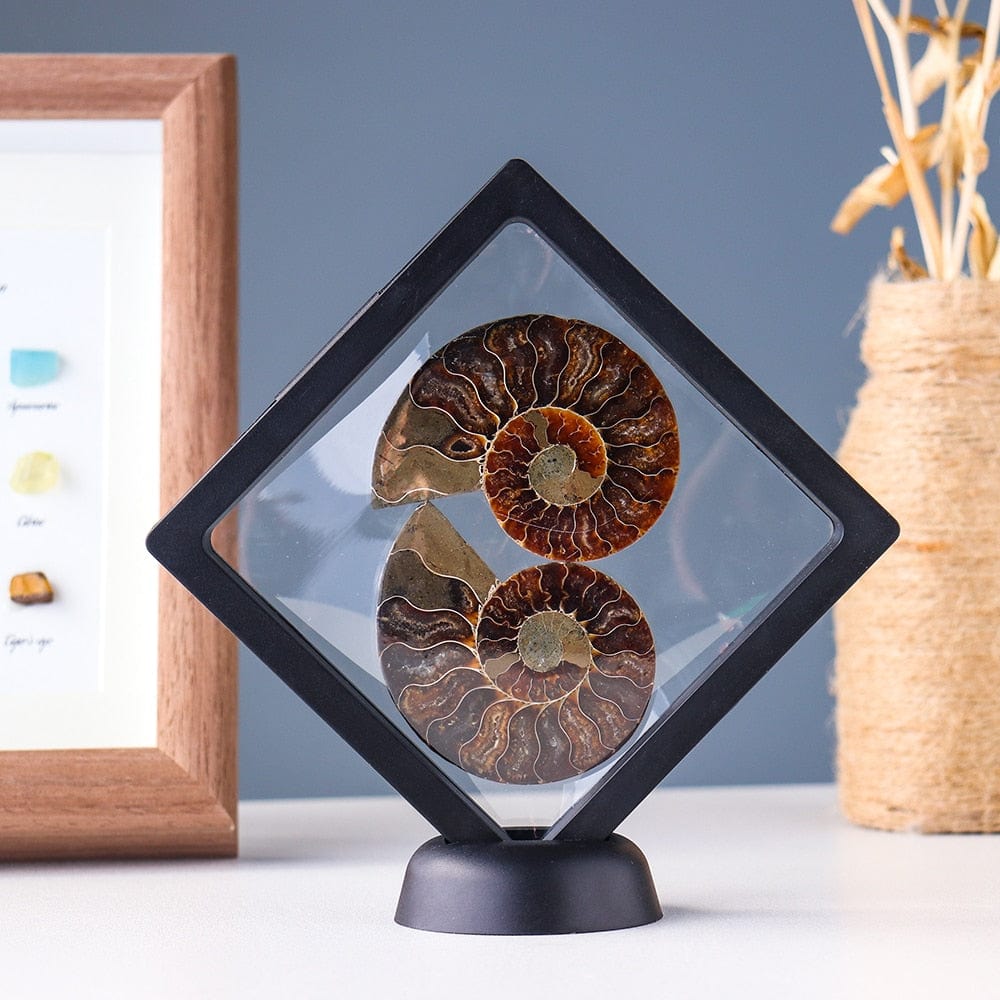 Ammonitfossil Kristall Ornament | Veska 2 stycken