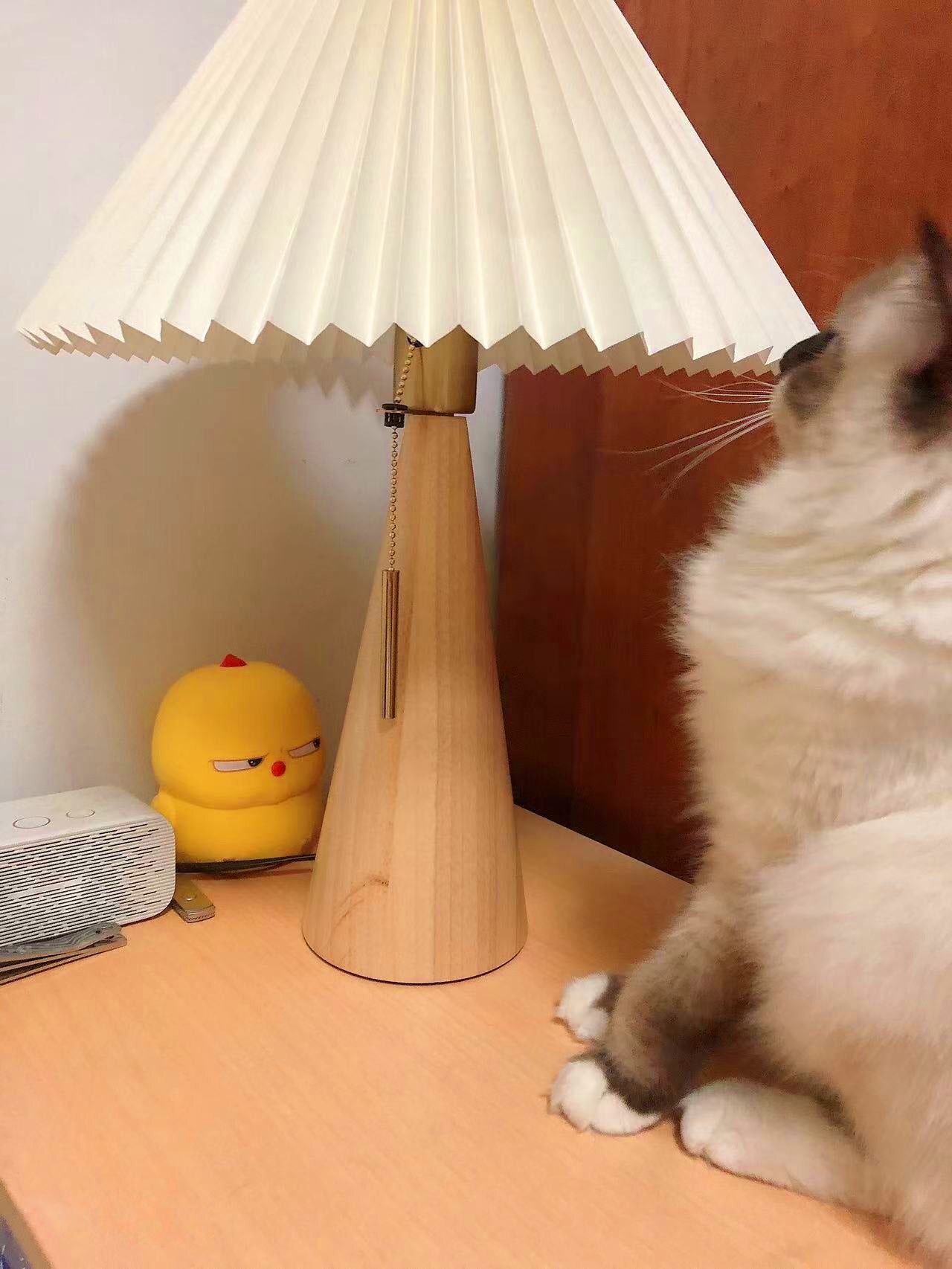 AntiqueRadiance – Elegant trä- och metallbordslampa | Veska
