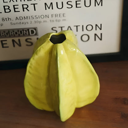 Artisan Skapad Keramisk Starfruit Veskaomvas - Fängslande Dekorativt Hemaccessoar | Veska