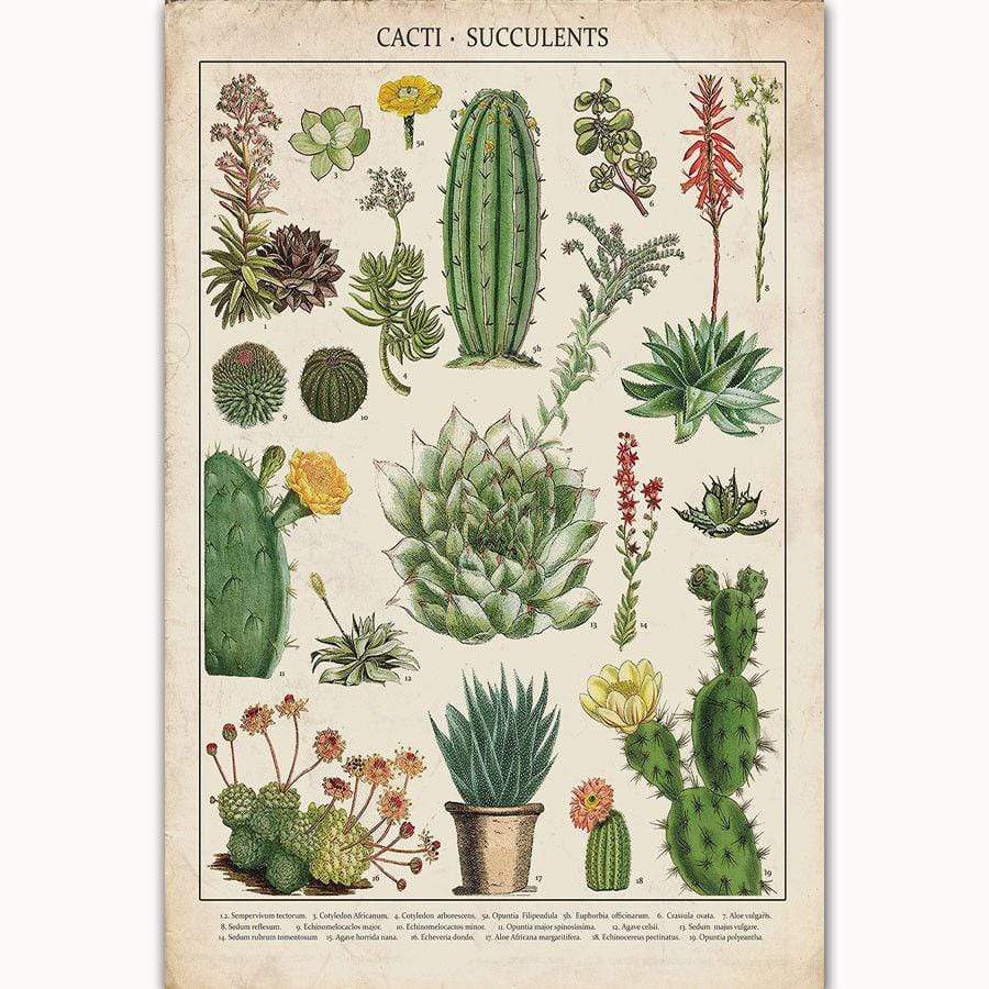 Cacti & Succulents Poster Wrap | Veska