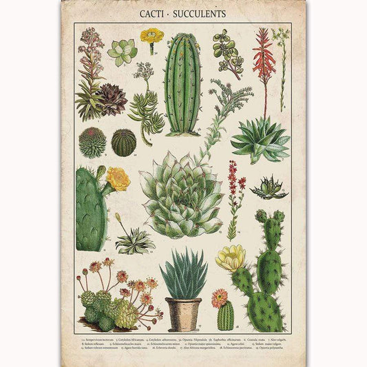 Cacti & Succulents Poster Wrap | Veska