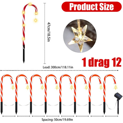 Candy Cane Lane LED Solarlampa | Veska 12PCS Höjd 47CM