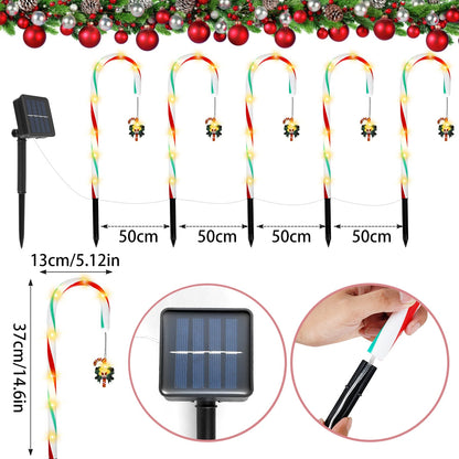 Candy Cane Lane LED Solarlampa | Veska 5PCAK Höjd 37CM C