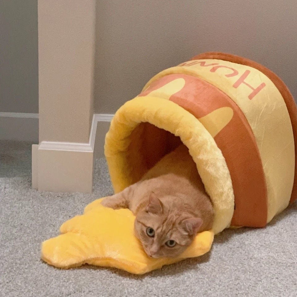 Cozy Honey Pot Kat Hus | Veska