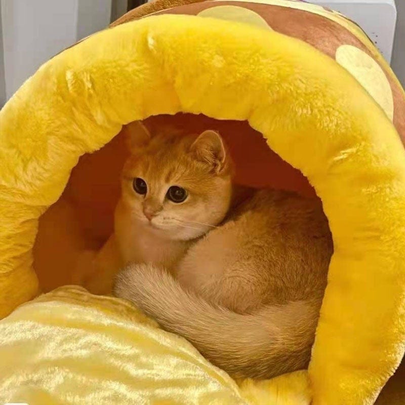 Cozy Honey Pot Kat Hus | Veska