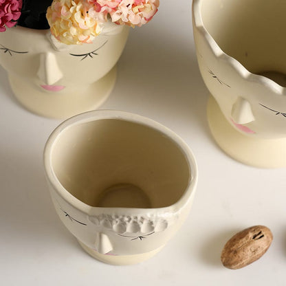 Dekorativ Torkade Veskaommor Vaso | Veska