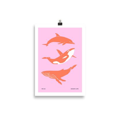 Dolphines | Veska