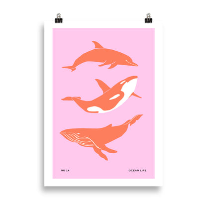 Dolphines | Veska 50×70 cm