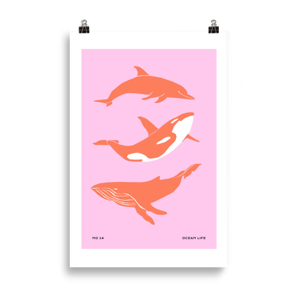 Dolphines | Veska 61×91 cm
