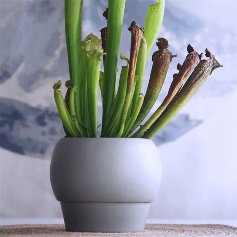 Elegant keramisk vas för tidlös design | Veska