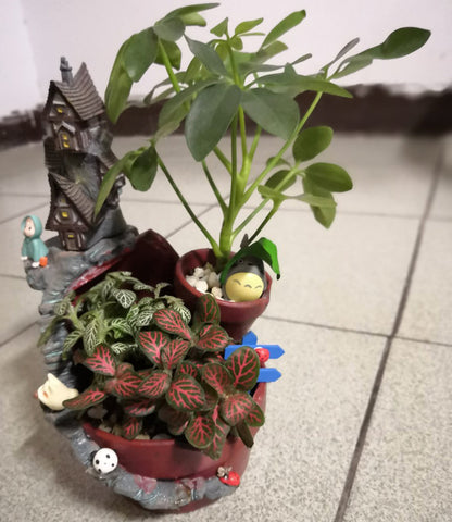 Fairy Garden House Kreativ Hartsblomkruka | Veska