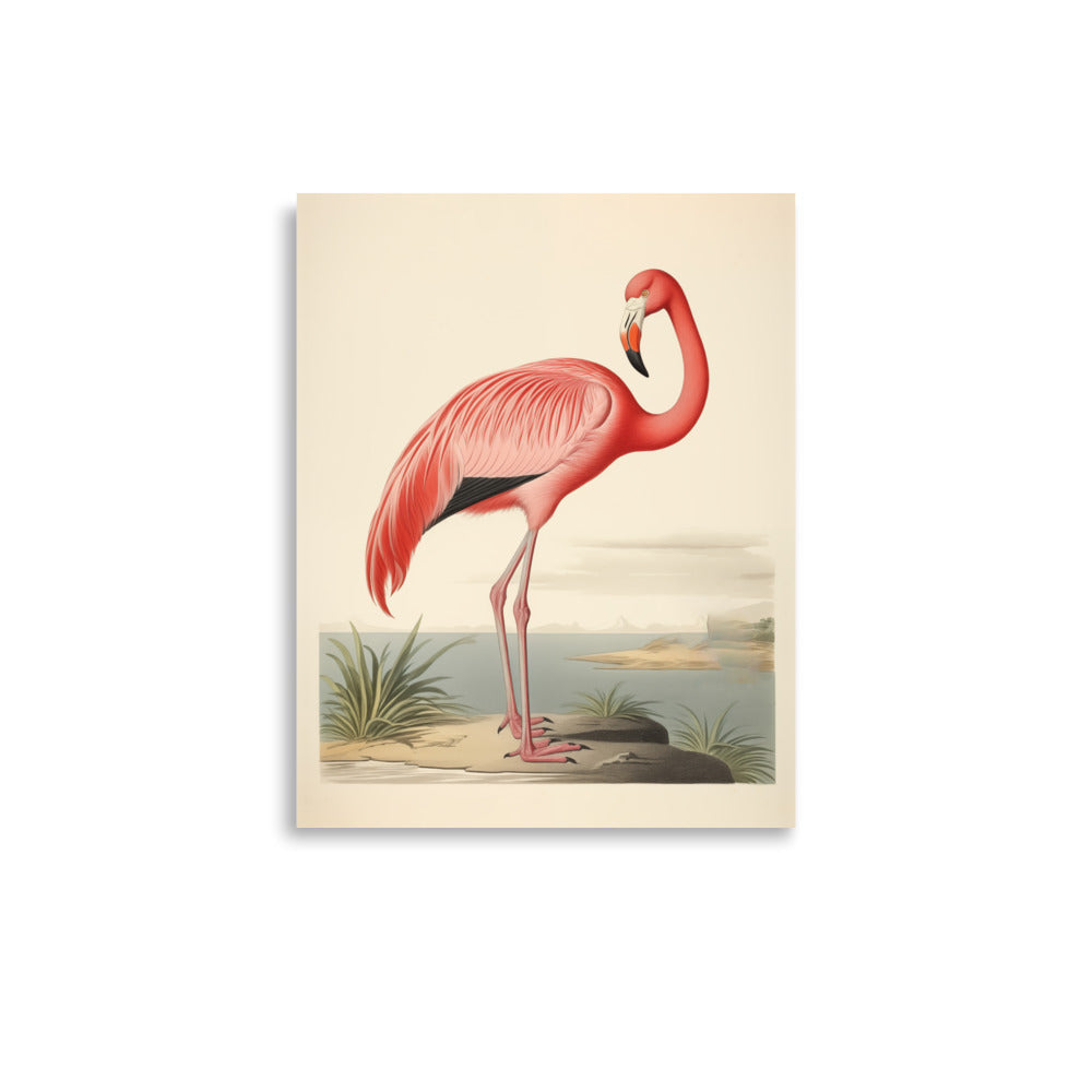 Flamingo | Veska 11″×14″