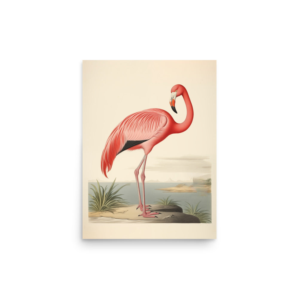 Flamingo | Veska 12″×16″