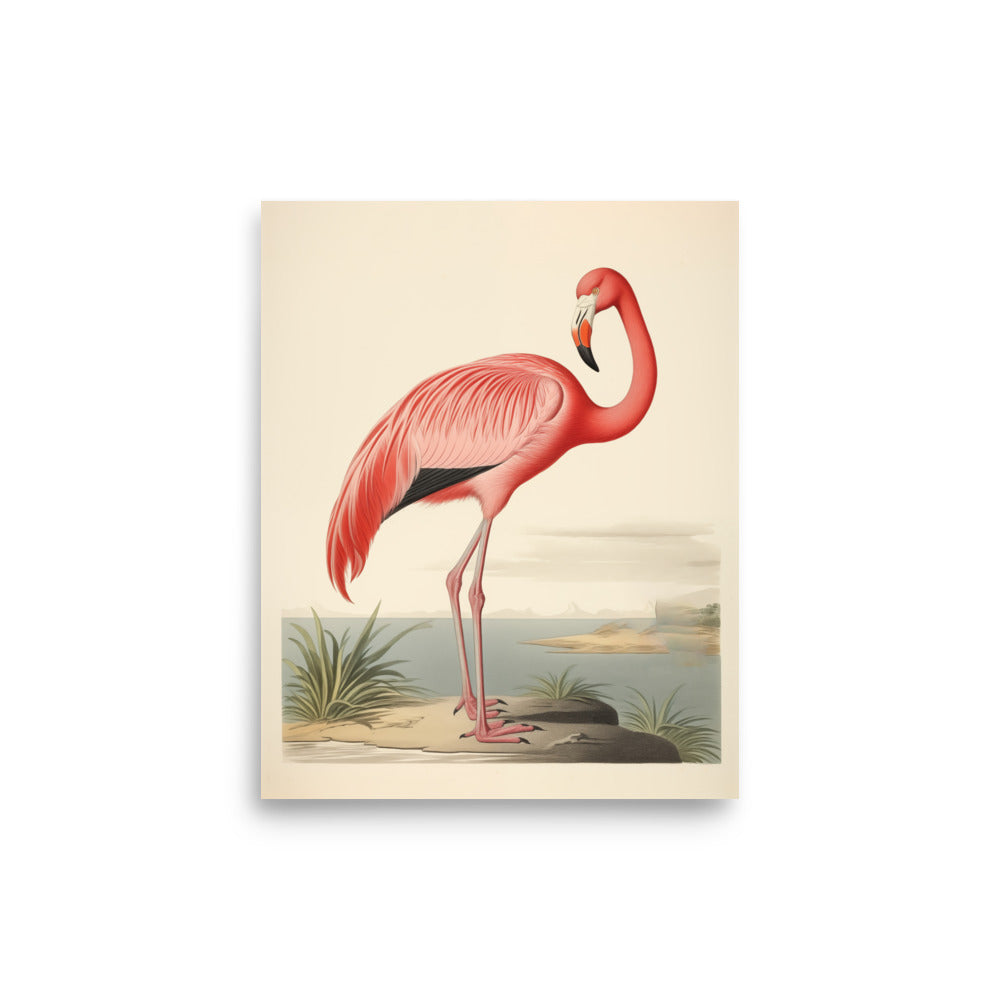 Flamingo | Veska 8″×10″