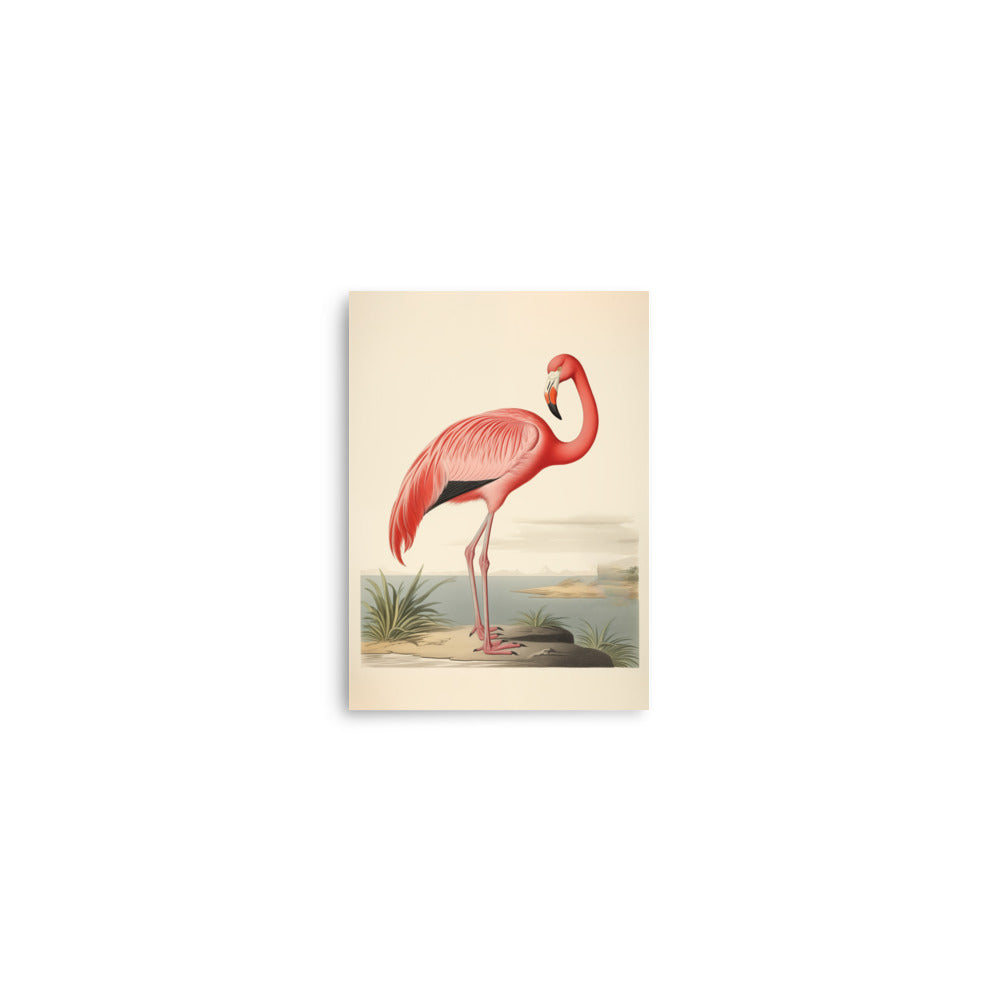 Flamingo | Veska 5″×7″