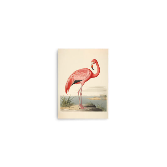 Flamingo | Veska 5″×7″