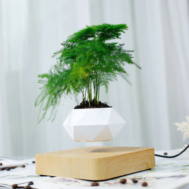 Flytande Air Bonsai Kruka Magnetisk flytande växtkruka för modern skrivbordsdekoration | Veska