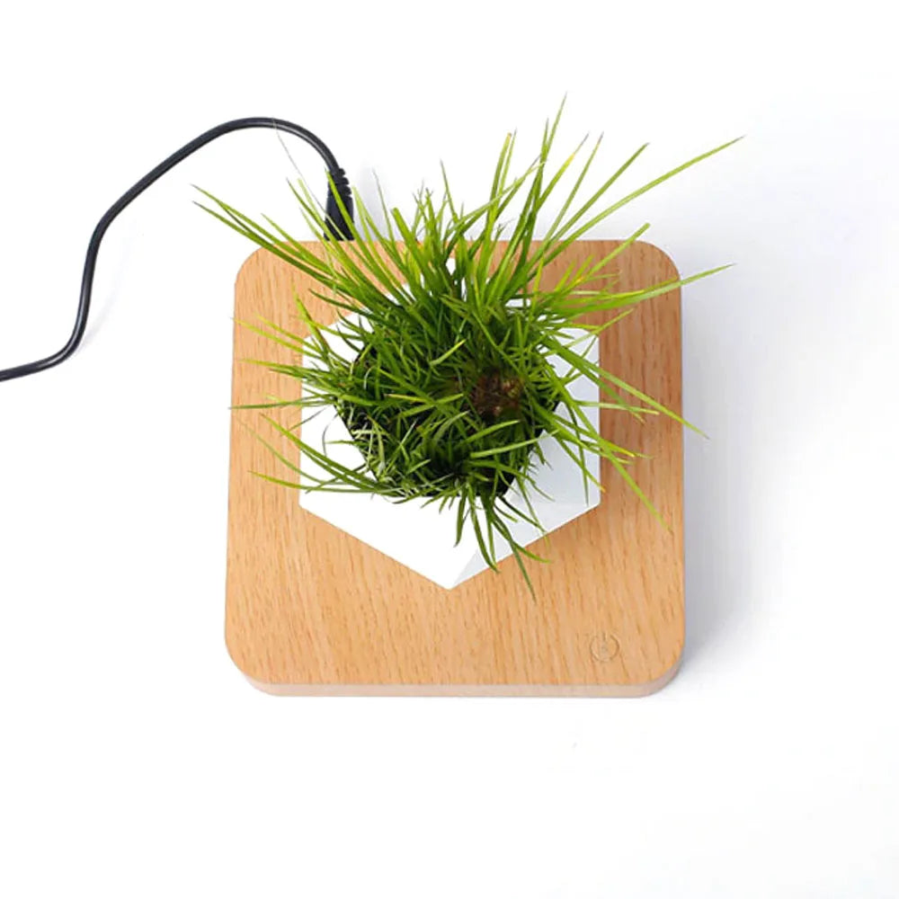 Flytande Air Bonsai Kruka Magnetisk flytande växtkruka för modern skrivbordsdekoration | Veska