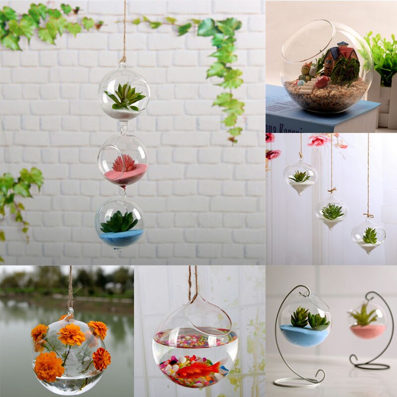 Flytande Glas Vaser Terrarium | Veska