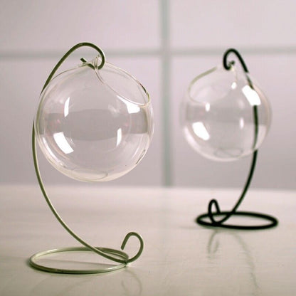 Flytande Glas Vaser Terrarium | Veska