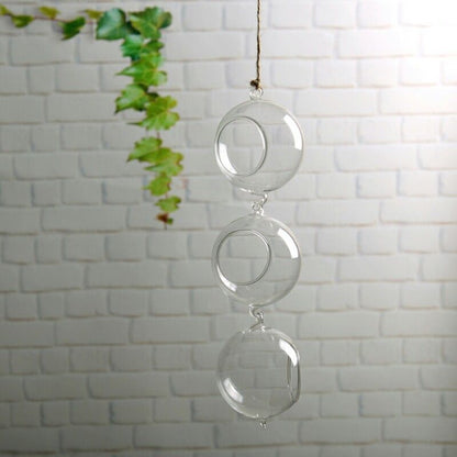 Flytande Glas Vaser Terrarium | Veska