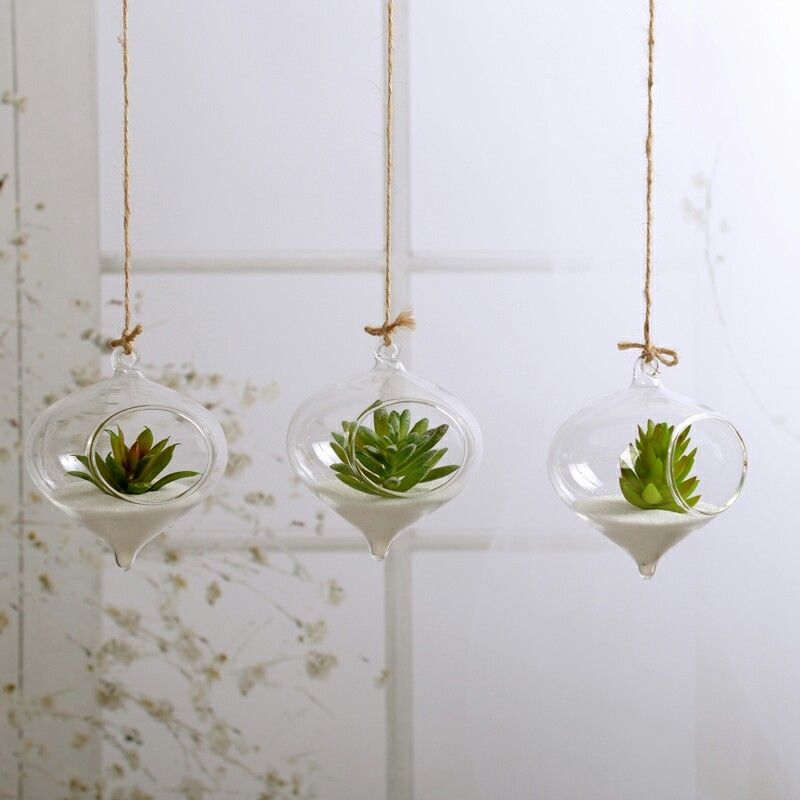 Flytande Glas Vaser Terrarium | Veska